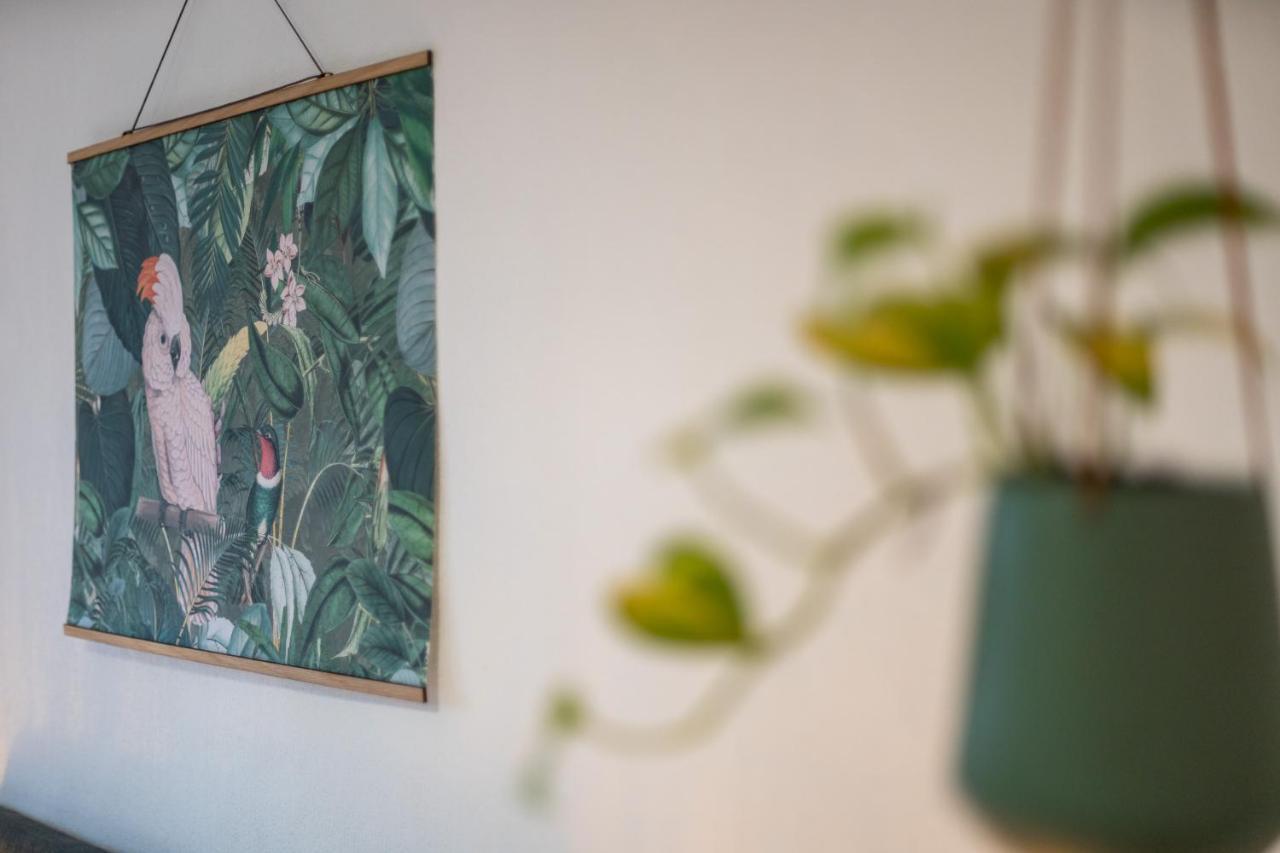 Kakadu - Zentral - Workplace - Gemeinschaftsterrasse, Snes Frankenberg an der Eder Buitenkant foto